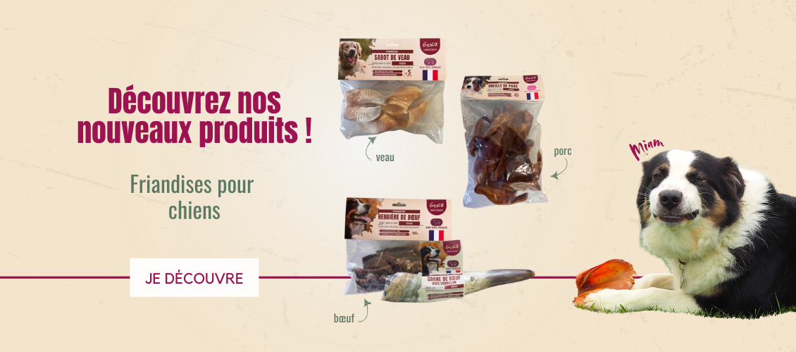 nouveaux produits friandises chiens