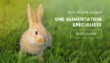 visuel d'un lapin dans un champ d'herbe pour la marque gasco