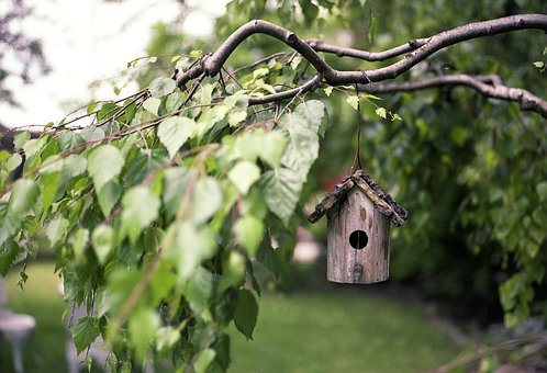 Bassin suspendu pour oiseaux