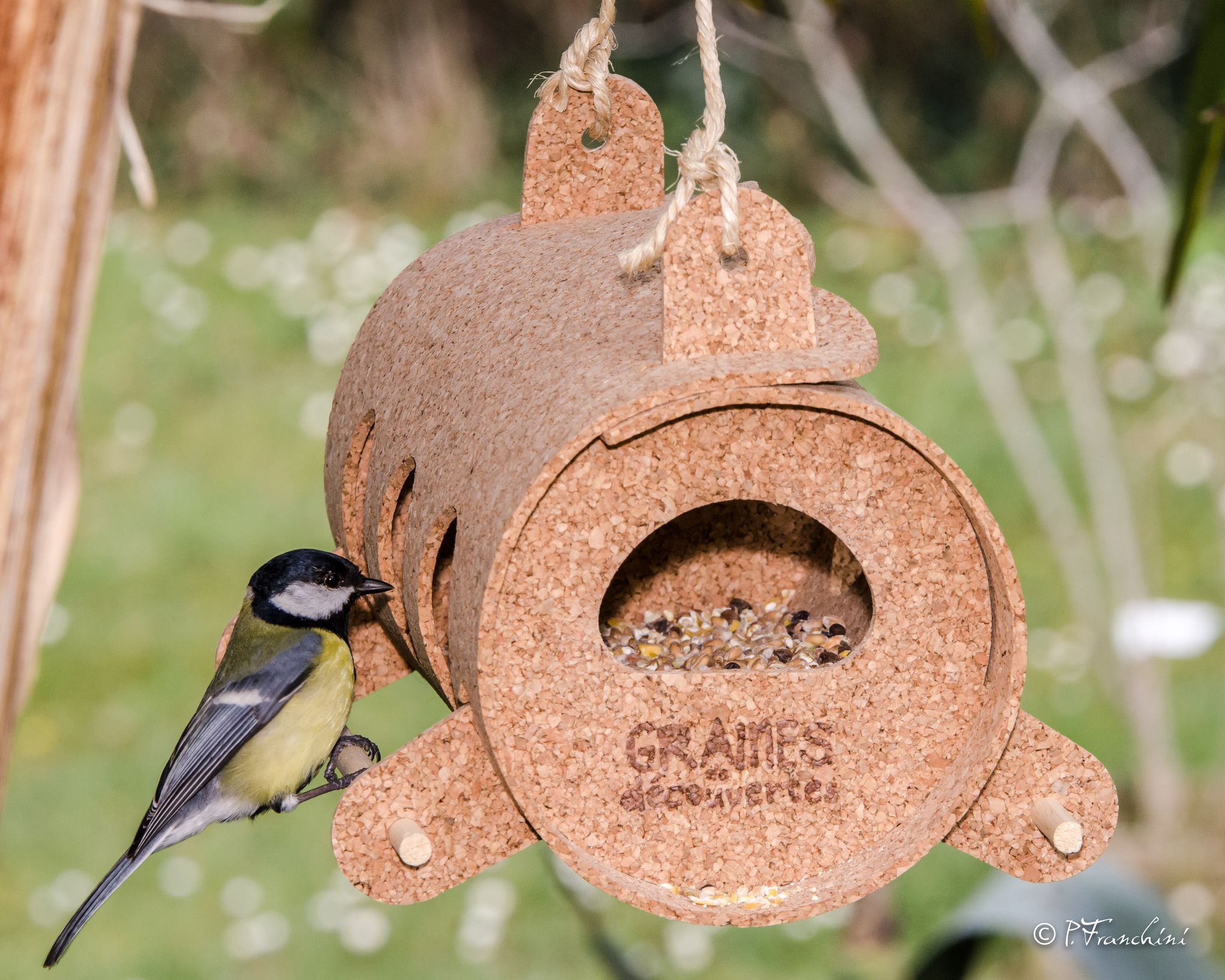 Mélange de graines oiseaux décortiqué Clean garden blend Menu Nature