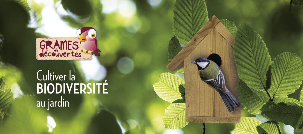 DIY - Réaliser ses boules de graisse pour les oiseaux - Jardin - Green life