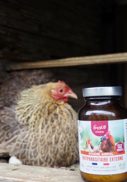 A la chasse aux poux rouges !