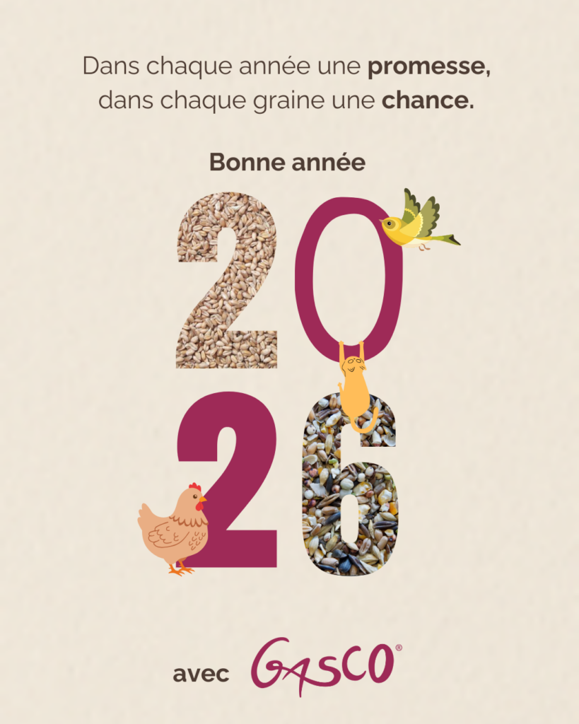 Bonne année 2026 !