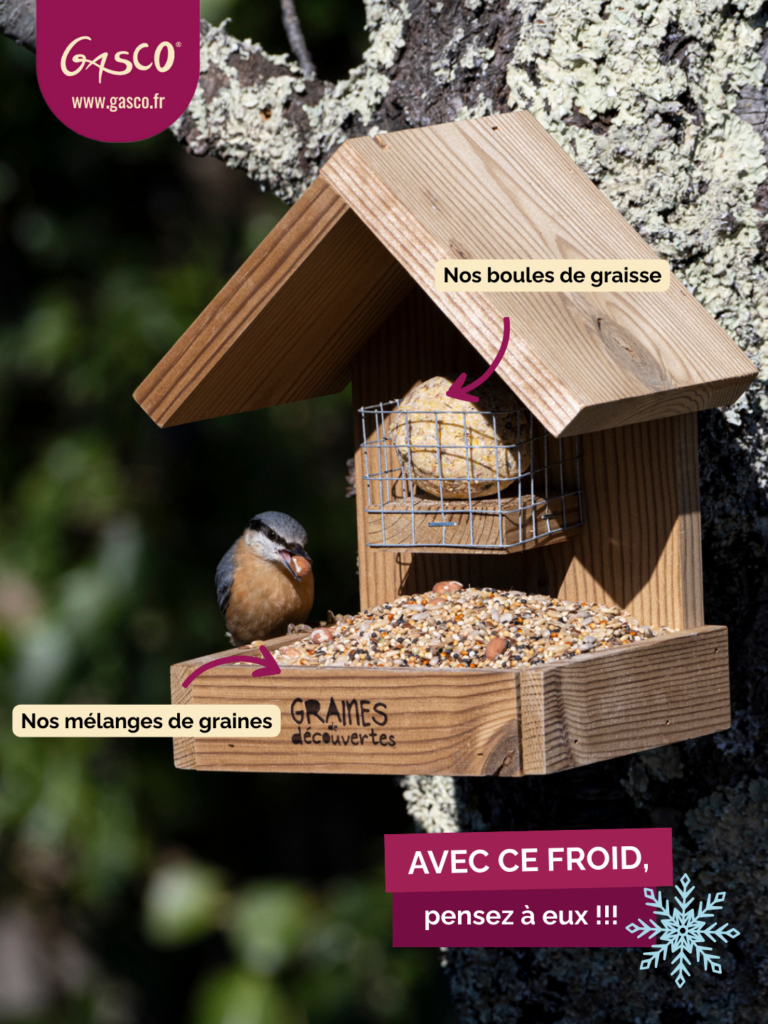 Cet hiver, prenons soins d&rsquo;eux ensemble !